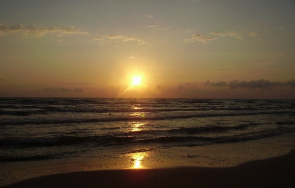 Паланга Балтийское море