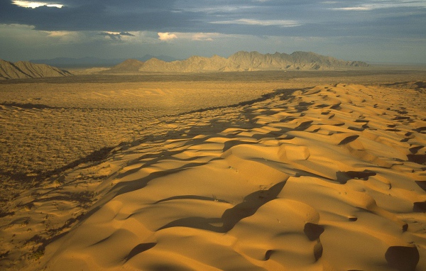 Мексиканская пустыня