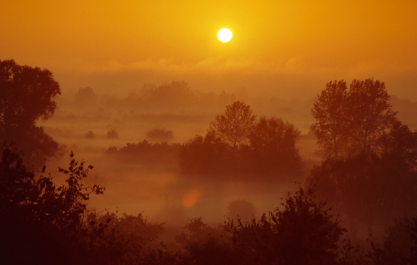 Туман на закате