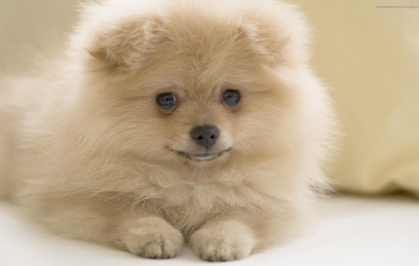 Я вам улыбаюсь