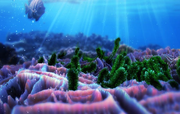 Жители морского дна