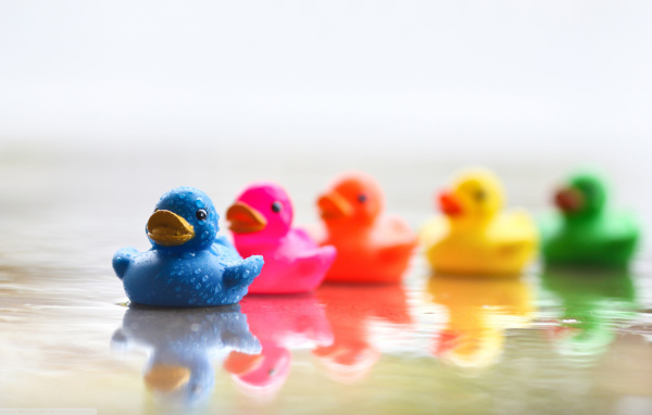 Цветные уточки