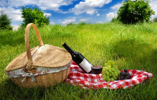 Пикник на природе