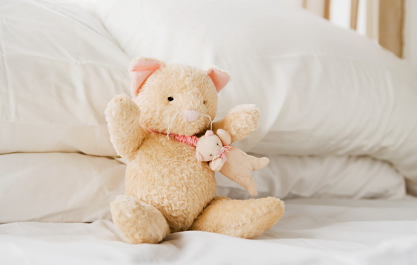 Плюшевые кошка и мышка