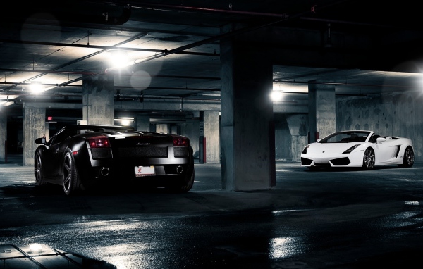 Lamborghini Gallardo White and Black