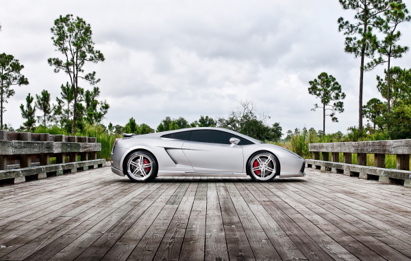 Performance Lamborghini Gallardo