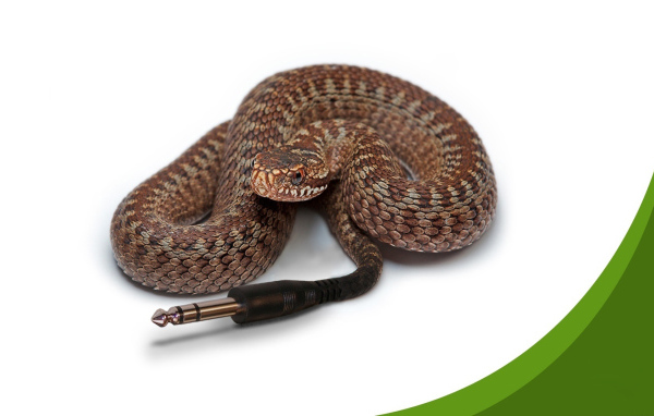 Компьютерная змейка