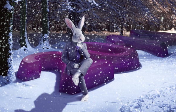 2011 Год зайца