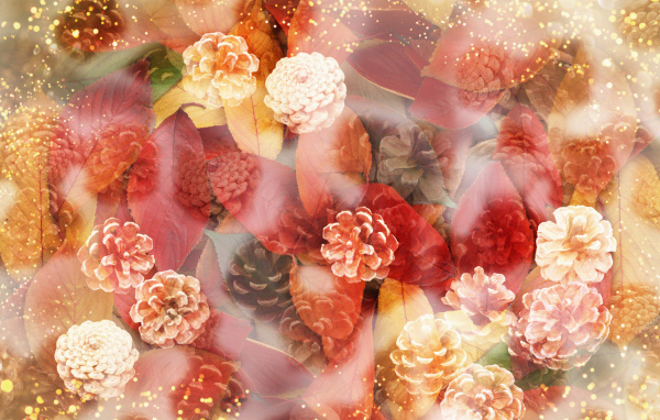 Шишки и листья