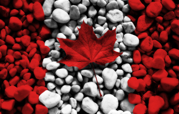 Креативный канадский флаг