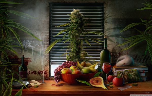 Фрукты и травка