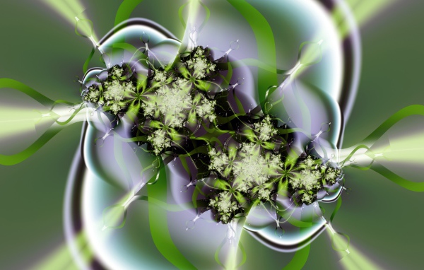 Зеленые цветы