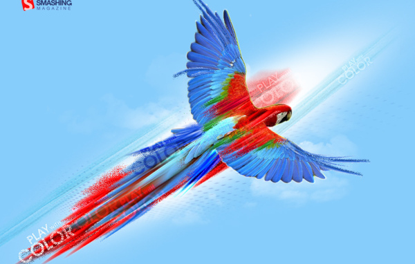 Попугай картина