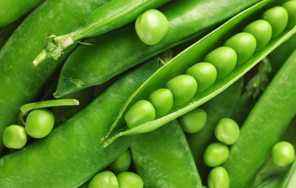 Зеленый горошек