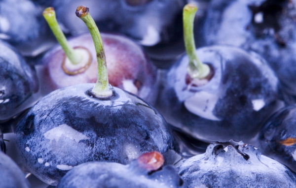 Ягоды черники