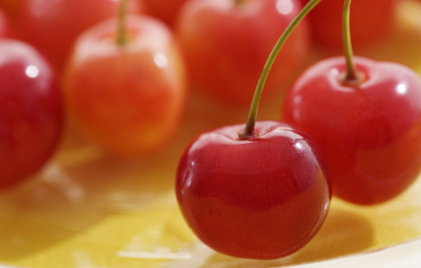 Спелая вишня