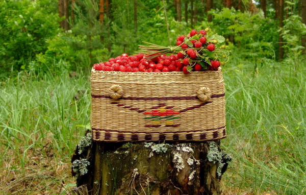 Земляника в корзине