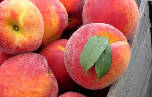 Сладкие персики