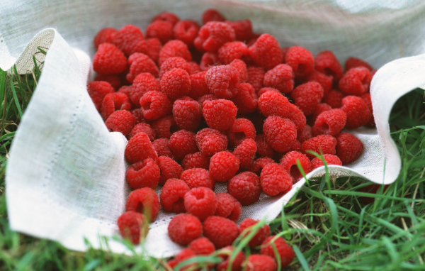 Сладкая малина