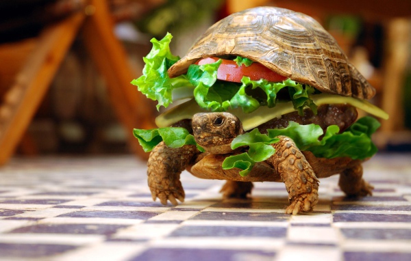 Черепаха - бургер