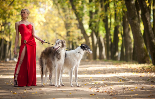Девушка с собаками