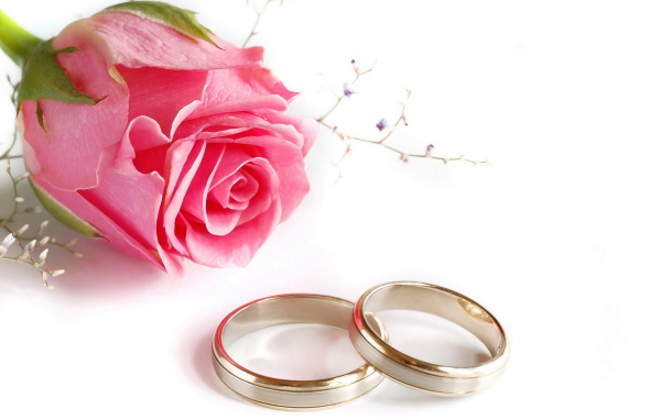 Кольца и роза