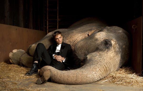 Robert Pattinson и слон