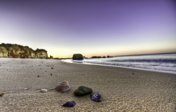 Ракушки на берегу