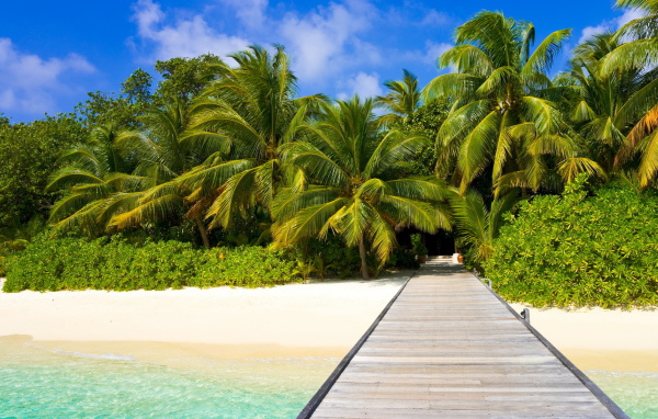 Пальмы на пляже