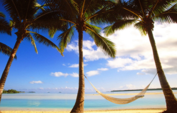 Пальмы на берегу