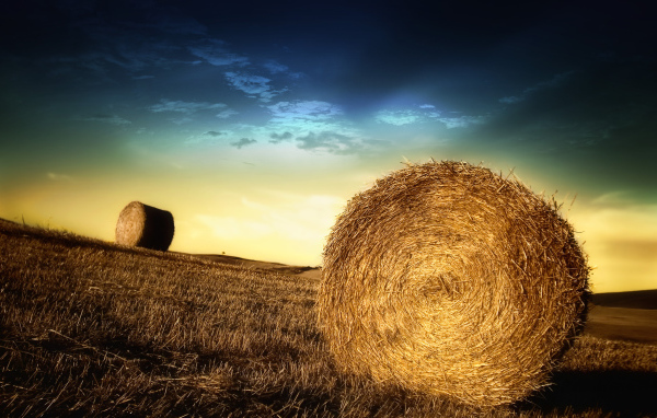 Тюки с соломой