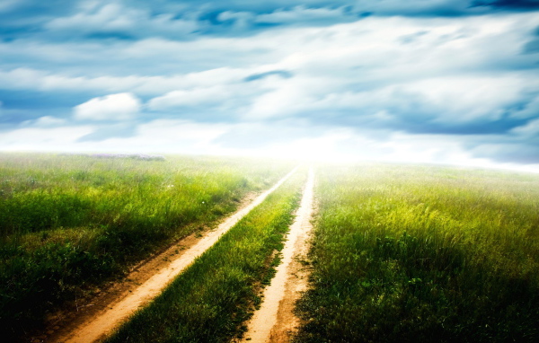 Грунтовая дорога