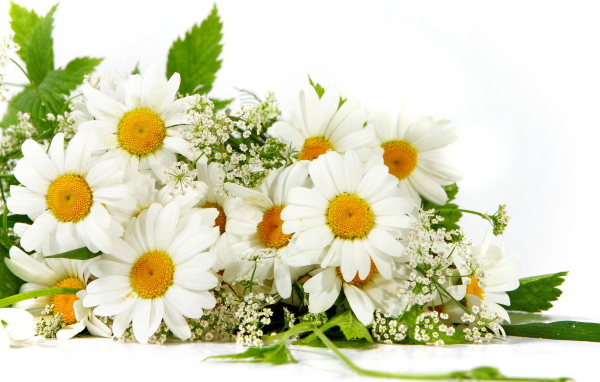 Букет из ромашек