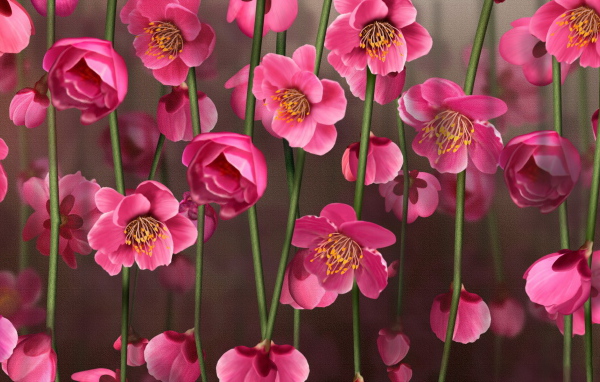 Рисунок цветов