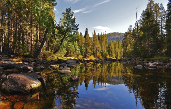 Маленькое лесное озеро