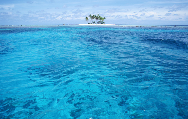 Остров с пальмами