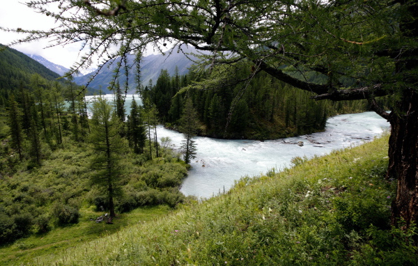 Горная река