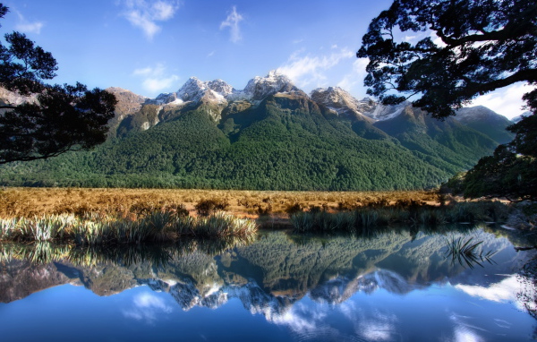 Горы и пруд