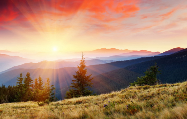 Горы покрытые лесом