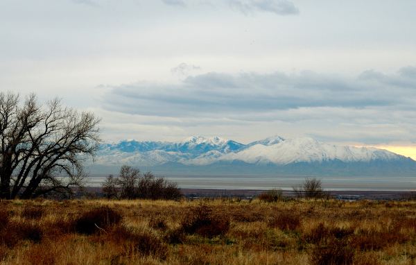 Снежные вершины