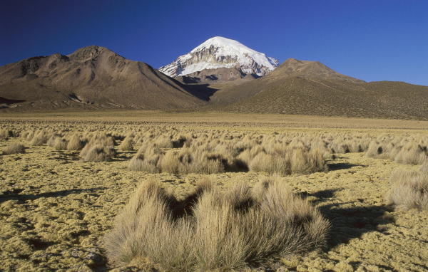 Снежная вершина в пустыне
