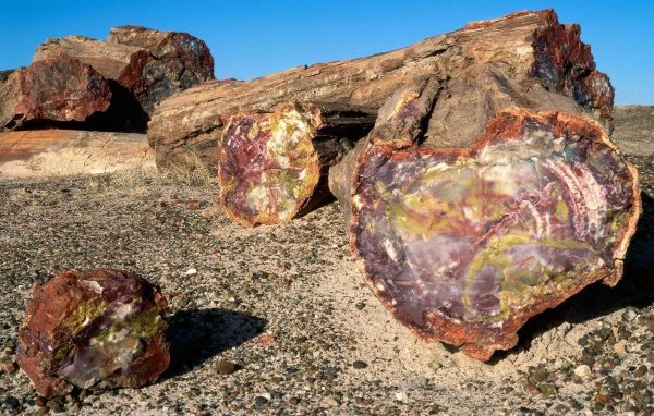 Древняя порода