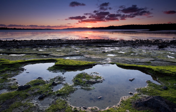 Омелевший берег