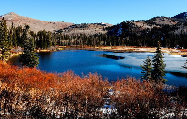 Красивый пейзаж