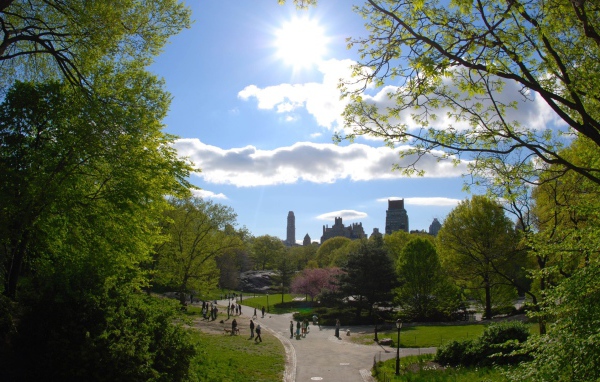 Городской парк