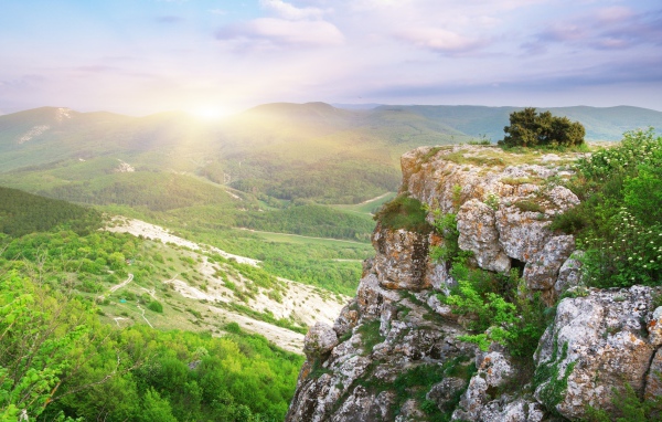 Лесная долина