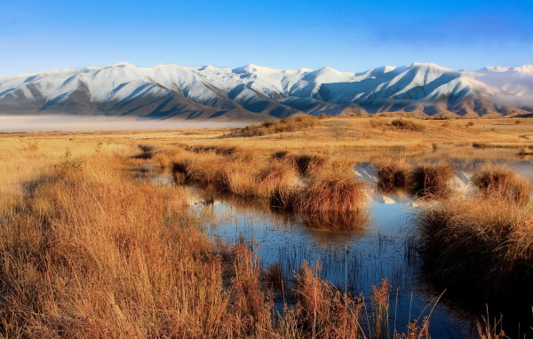 Болото и горы