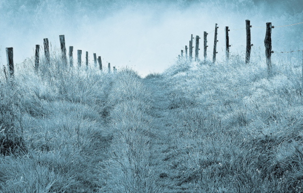 Туманным утром