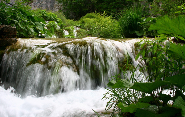 Игривый ручей