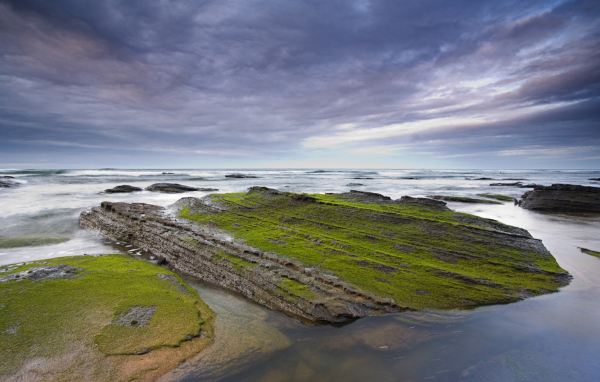 Камни у берега